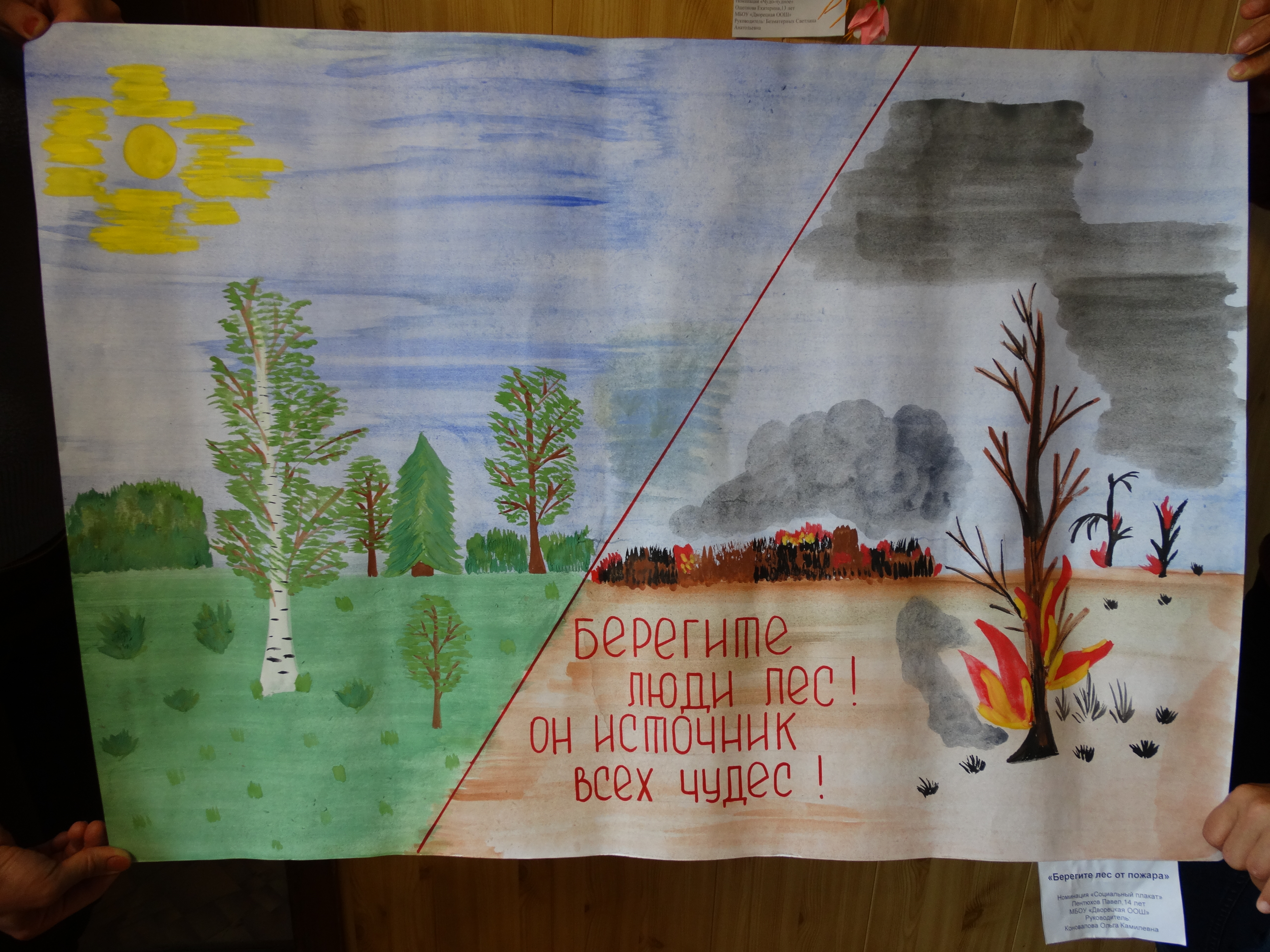 Оберегать лес. Плакат в защиту лесов. Рисунок по защите природы. Рисунки на тему защита лесов. Плакат на тему охрана леса.